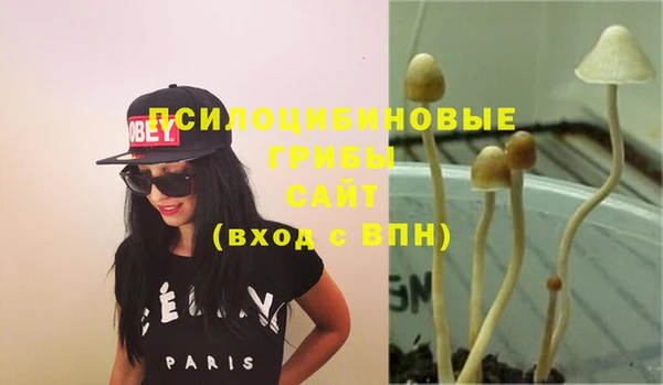 MDMA Куйбышев