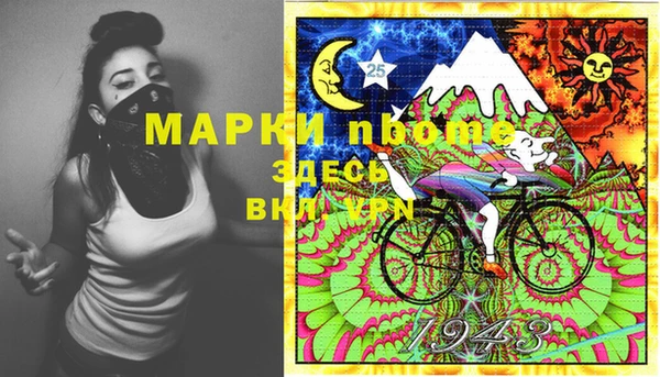 стафф Лабытнанги